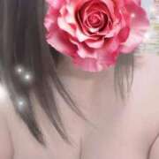 ヒメ日記 2025/08/29 19:49 投稿 すみれ トマトなび