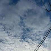 ヒメ日記 2025/09/23 16:03 投稿 すみれ トマトなび