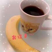 ヒメ日記 2025/09/25 08:19 投稿 すみれ トマトなび