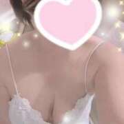 ヒメ日記 2025/09/25 11:44 投稿 すみれ トマトなび