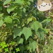 ヒメ日記 2025/10/02 23:35 投稿 すみれ トマトなび