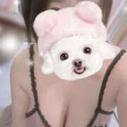 ヒメ日記 2025/10/07 20:49 投稿 すみれ トマトなび