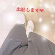 ヒメ日記 2025/10/16 16:19 投稿 すみれ トマトなび