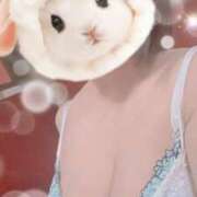 ヒメ日記 2025/10/25 10:23 投稿 すみれ トマトなび