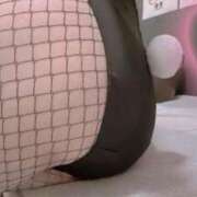 ヒメ日記 2025/11/12 09:16 投稿 すみれ トマトなび