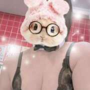 ヒメ日記 2025/11/13 00:05 投稿 すみれ トマトなび