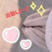 ヒメ日記 2025/11/28 14:19 投稿 すみれ トマトなび