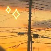 ヒメ日記 2025/11/29 16:21 投稿 すみれ トマトなび