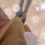 ヒメ日記 2025/11/30 08:43 投稿 すみれ トマトなび