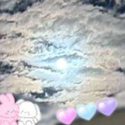 ヒメ日記 2025/12/04 19:42 投稿 すみれ トマトなび