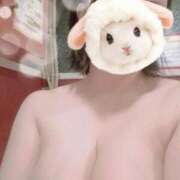 ヒメ日記 2025/12/10 00:16 投稿 すみれ トマトなび