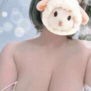 ヒメ日記 2025/12/20 01:38 投稿 すみれ トマトなび