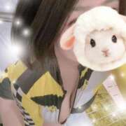 ヒメ日記 2026/01/05 11:12 投稿 すみれ トマトなび