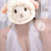 ヒメ日記 2026/01/28 08:50 投稿 すみれ トマトなび