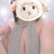 ヒメ日記 2026/02/05 13:13 投稿 すみれ トマトなび