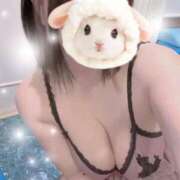 ヒメ日記 2026/02/10 09:13 投稿 すみれ トマトなび