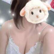 ヒメ日記 2026/02/18 16:22 投稿 すみれ トマトなび