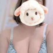 ヒメ日記 2026/02/24 09:15 投稿 すみれ トマトなび