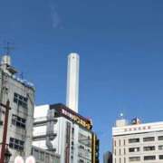 ヒメ日記 2026/03/10 16:35 投稿 すみれ トマトなび