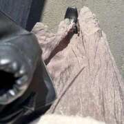 ヒメ日記 2026/03/15 08:43 投稿 すみれ トマトなび