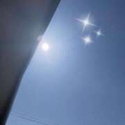 すみれ おはようございます☀️ トマトなび