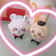 すみれ かわいい〜ゲットฅ(=･ω･=)ฅ トマトなび