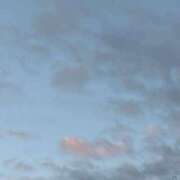 ヒメ日記 2026/06/03 19:15 投稿 すみれ トマトなび