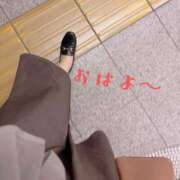 ヒメ日記 2026/06/11 09:56 投稿 すみれ トマトなび