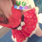 ヒメ日記 2024/12/23 19:44 投稿 はな トマトなび