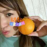 ヒメ日記 2025/01/02 23:45 投稿 はな トマトなび