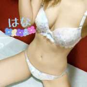 ヒメ日記 2025/01/04 23:50 投稿 はな トマトなび