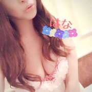 ヒメ日記 2025/02/11 08:59 投稿 はな トマトなび