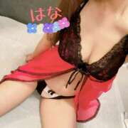 ヒメ日記 2025/02/16 23:21 投稿 はな トマトなび