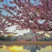 ヒメ日記 2025/03/10 21:02 投稿 はな トマトなび