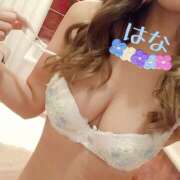 ヒメ日記 2025/03/14 23:57 投稿 はな トマトなび