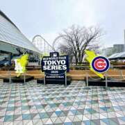 ヒメ日記 2025/03/16 23:28 投稿 はな トマトなび