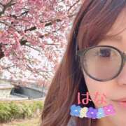 ヒメ日記 2025/03/23 20:54 投稿 はな トマトなび