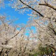 ヒメ日記 2025/03/30 23:59 投稿 はな トマトなび