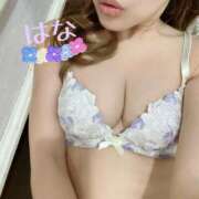 ヒメ日記 2025/03/31 22:00 投稿 はな トマトなび