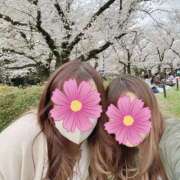 ヒメ日記 2025/04/07 00:10 投稿 はな トマトなび