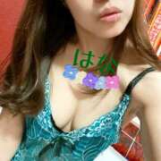 ヒメ日記 2025/04/07 14:37 投稿 はな トマトなび