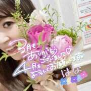 ヒメ日記 2025/04/07 21:30 投稿 はな トマトなび