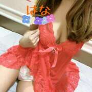 ヒメ日記 2025/04/15 23:53 投稿 はな トマトなび