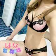 ヒメ日記 2025/04/18 08:28 投稿 はな トマトなび