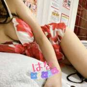 ヒメ日記 2025/04/24 23:59 投稿 はな トマトなび