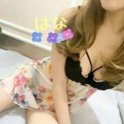 ヒメ日記 2025/05/06 09:24 投稿 はな トマトなび