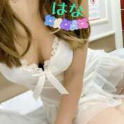 ヒメ日記 2025/05/09 06:57 投稿 はな トマトなび