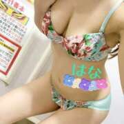 ヒメ日記 2025/05/11 00:43 投稿 はな トマトなび