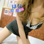 ヒメ日記 2025/05/20 16:42 投稿 はな トマトなび