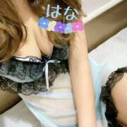 ヒメ日記 2025/05/23 16:50 投稿 はな トマトなび